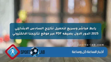 رابط مباشر وسريع لتحميل نتائج السادس الابتدائي 2025 الدور الأول بصيغة PDF عبر موقع نتائجنا الإلكتروني